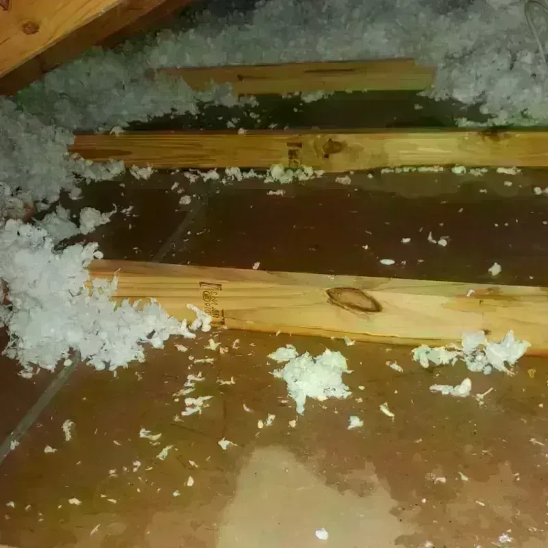 Attic Water Damage in New Iberia, LA